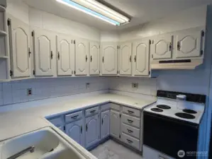Notice the abundance of cupboards in this kitchen and the double sink
