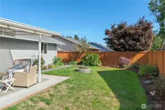 Lots of sunny garden space.