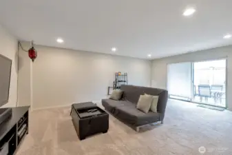 Lower Level Family Room