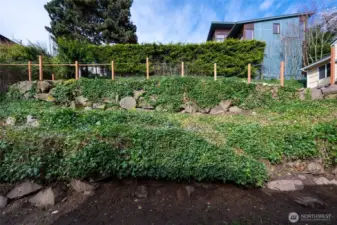 Terraced backyard with space for garden and play!