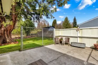 Sunny patio with a privacy screen is fully fenced.