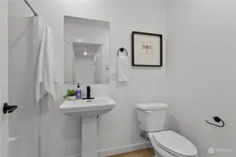 Lower level bathroom