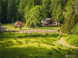 Plenty of room for livestock. Sellers open to sheep going with the property.