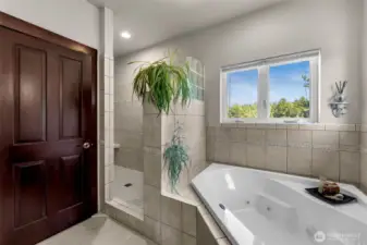 Primary bath, jetted tub, door to big closet