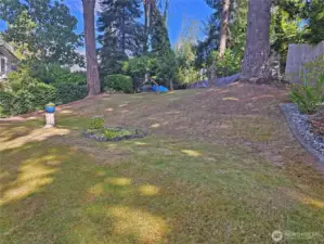 Back yard open space