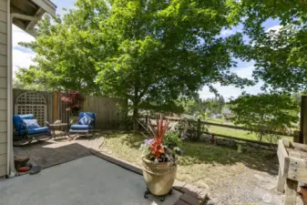 Backyard with plenty of room to entertain