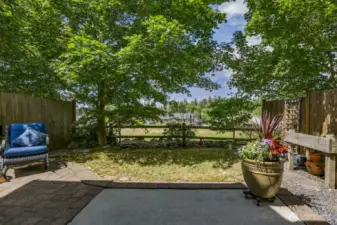 Look how open this yard is without have the fence close you in