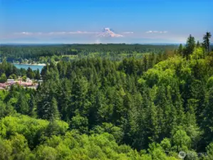 Wonderful Steamboat Island Community! Home to the Griffin School District, Steamboat Tennis & Athletic Club, coffee shops, Steamboat Square featuring Health and Wellness Spa, Chiropractic, Tipsy Whale and more! Mere minutes to Westside Olympia.