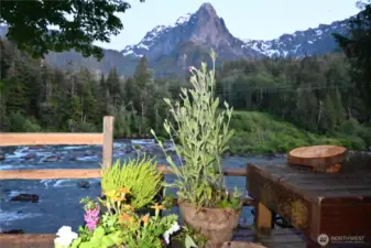 COME HOME to river, forest and mountain views!