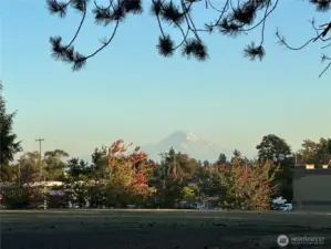 Beautiful views of Mount Rainier from Puget Sound Park