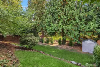 Large lower yard, with shed