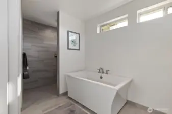 Soaking tub and curbless shower.