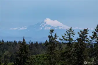 Mt. Baker