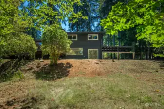 Mature trees in beautiful PNW backyard setting.