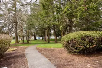 Neighborhood Park