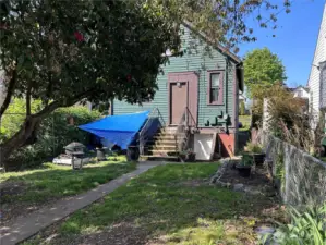 Back Yard