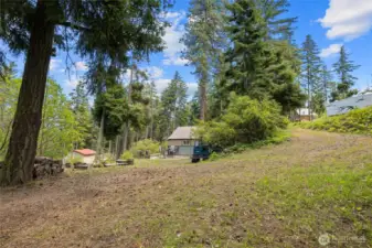 Driveway View