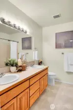 Guest bath.