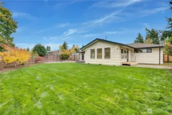 New sod in September.