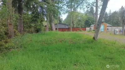 New back fence