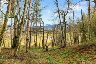 Baker views from up on the hill