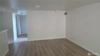 Basement Living Room