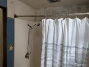Tub shower