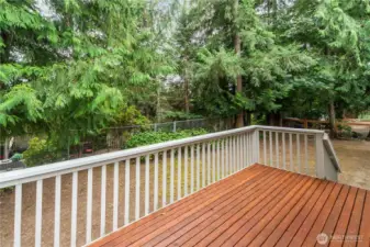 Roomy deck to enjoy partially fenced yard.