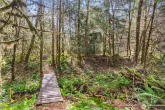 Bridge over year-round spring fed stream