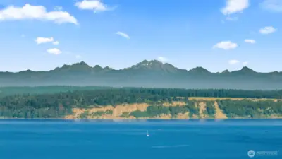 Yep! This view can be yours!