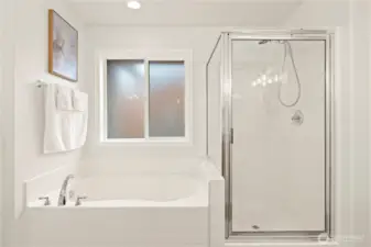 Shower and bathtub. Semi-opaque windows for light and privacy