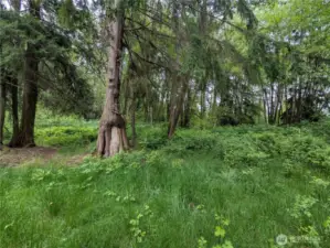 Gorgeous surroundings