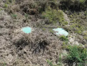 4 Bed Septic!