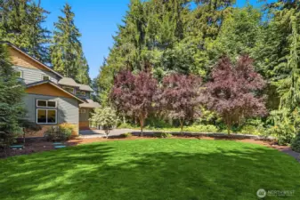 Large front lawn