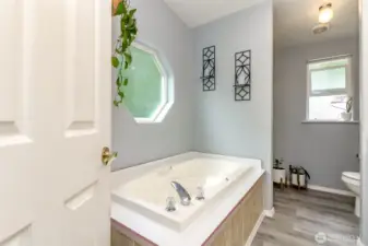 Large soaking tub and separate shower
