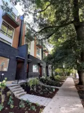 Quiet, Serene Queen Anne neighborhood
