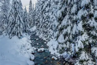 Peaceful riverfront setting just outside the studio, framed by snow-covered evergreens—offering a true alpine atmosphere and a serene backdrop year-round.