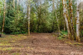 Cleared area for future ADU