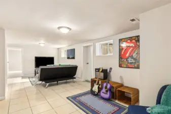 Basement Living Room