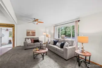 Light filled vaulted ceiling living room