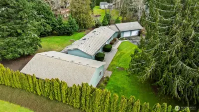 Level yard and privacy!