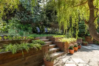 Photos from the previous listing when the willow and garden were in full bloom in the summer!