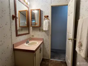 Hall bathroom