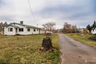 Fruit trees & long driveway