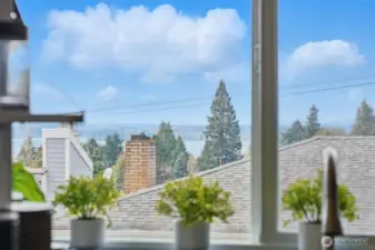View from the kitchen window