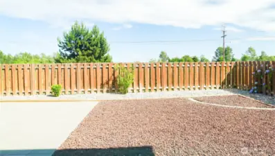 Clean Backyard