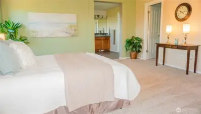 Master bedroom with walk-in closet