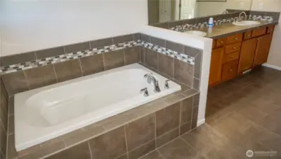 Master Bathtub