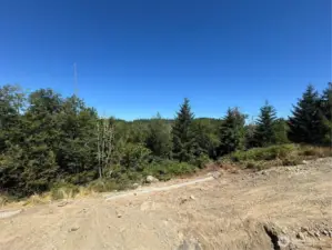 View from back yard