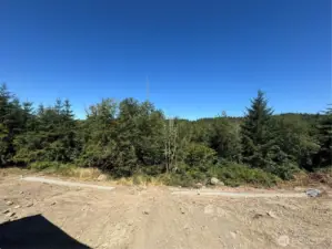 View from back yard